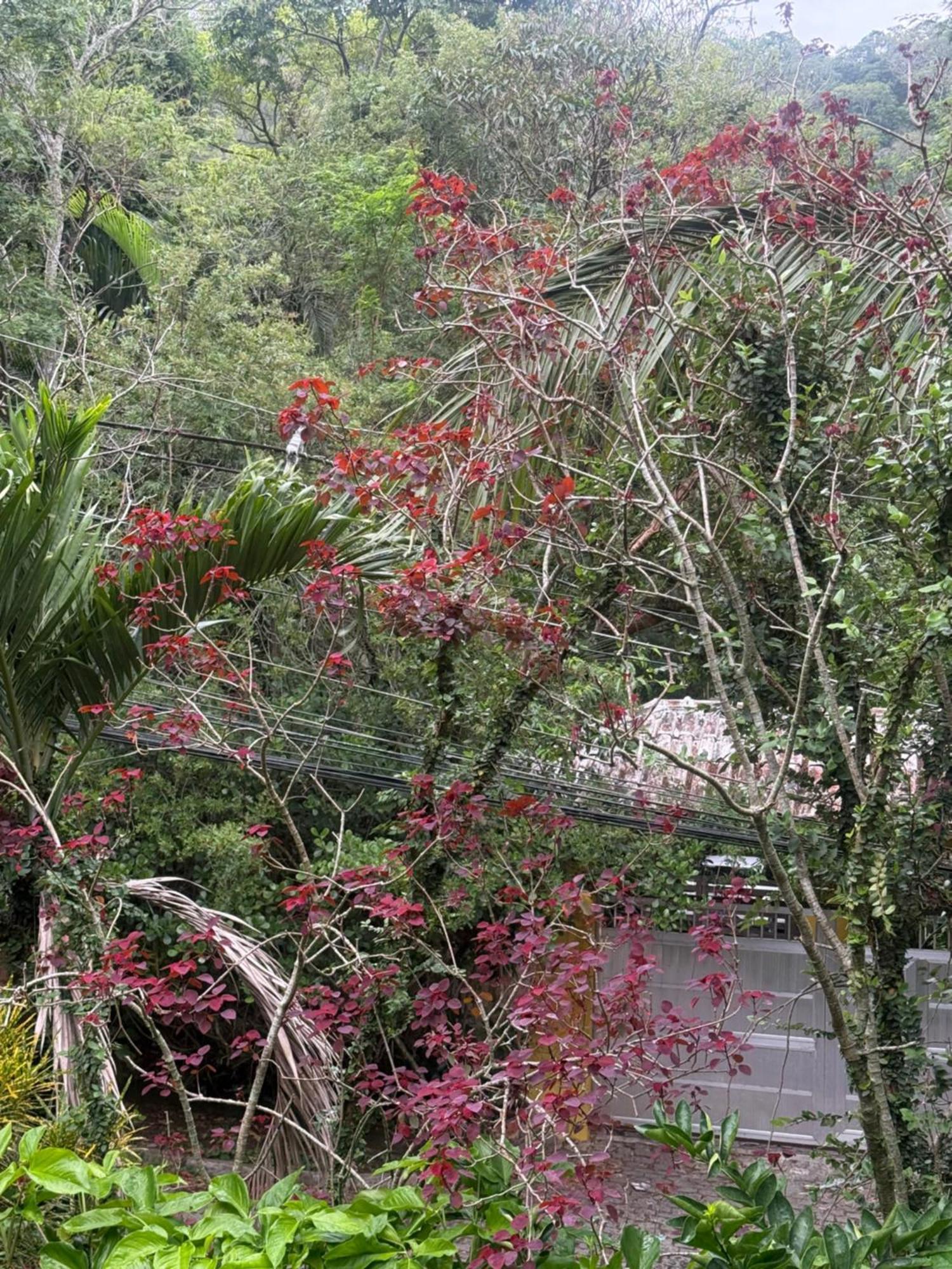 Chale Na Montanha No Recreio Dos Bandeirantes - Linda Vista Da Floresta - Perto De Lindas Praias Holiday home